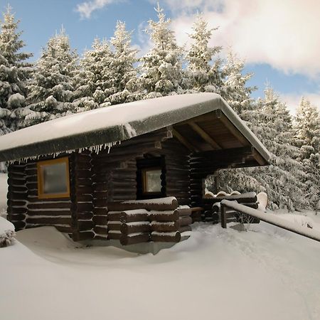 Modern & Vintage Bocksbergblick Ferienpark Hahnenklee جوسلار المظهر الخارجي الصورة