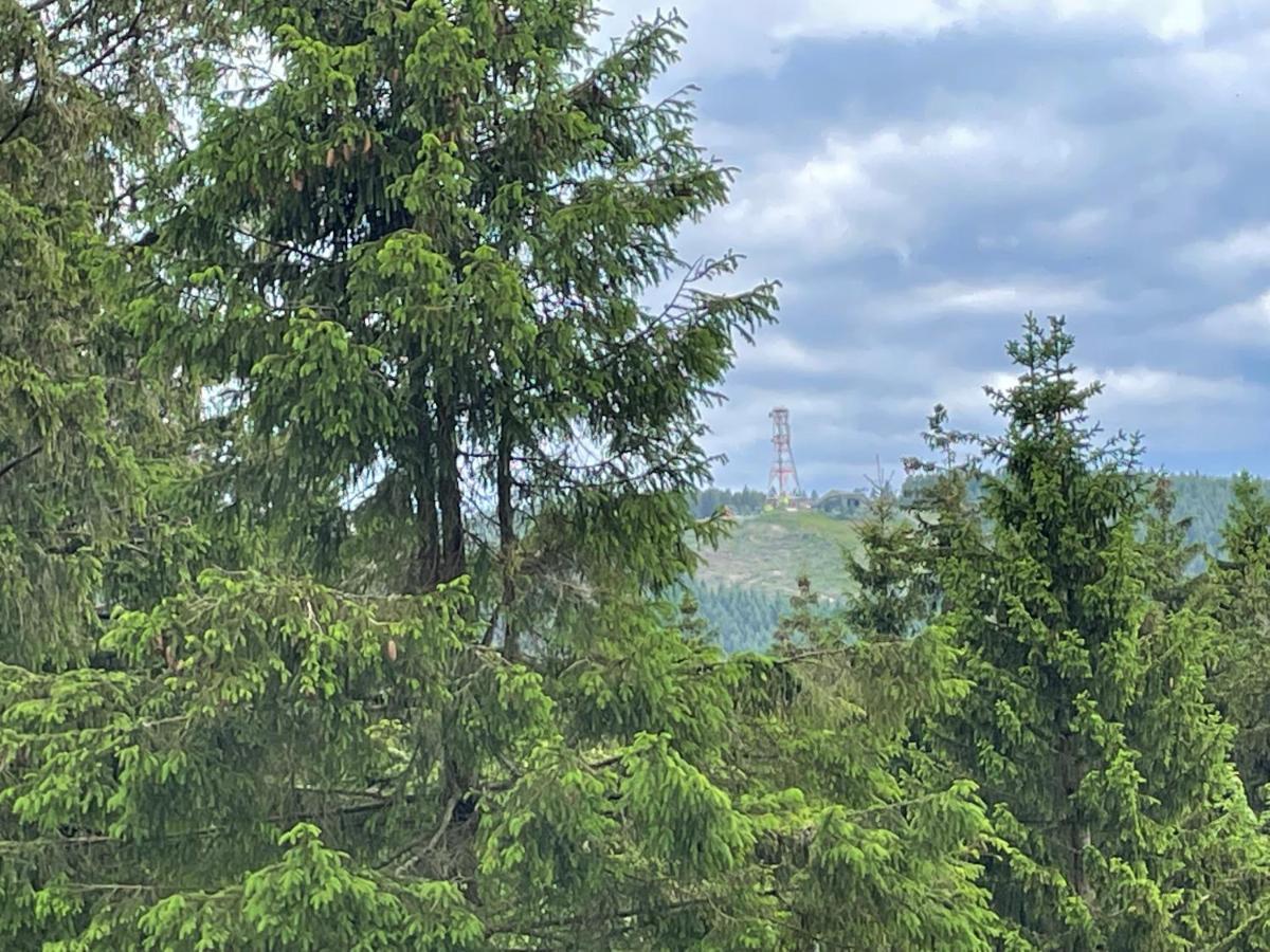 Modern & Vintage Bocksbergblick Ferienpark Hahnenklee جوسلار المظهر الخارجي الصورة