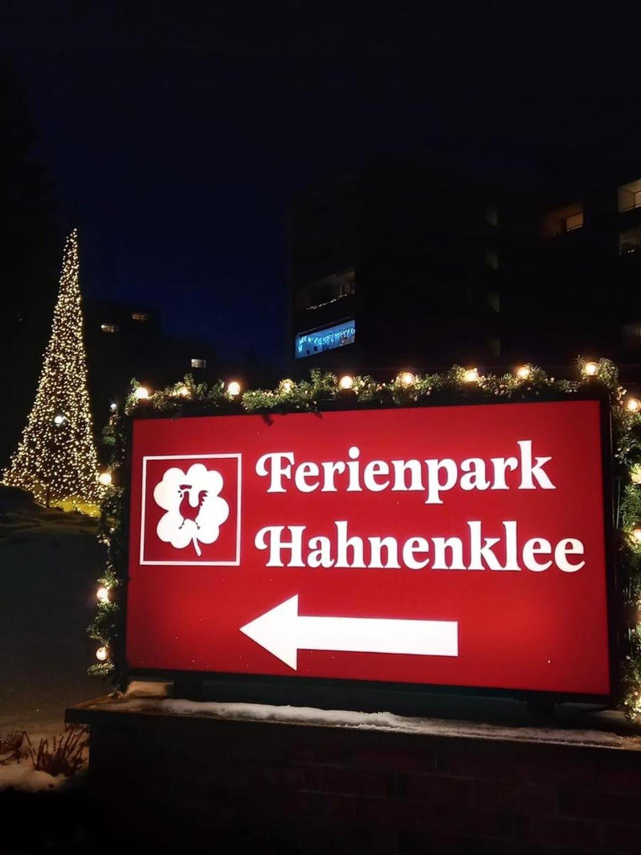 Modern & Vintage Bocksbergblick Ferienpark Hahnenklee جوسلار المظهر الخارجي الصورة