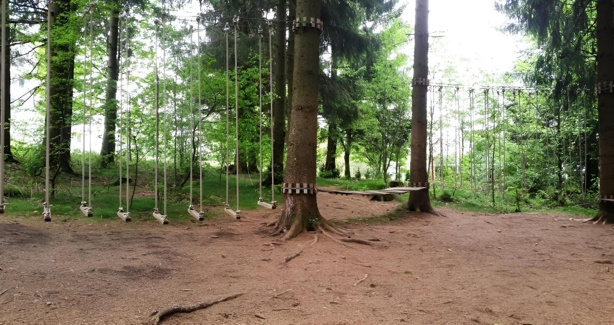 Modern & Vintage Bocksbergblick Ferienpark Hahnenklee جوسلار المظهر الخارجي الصورة