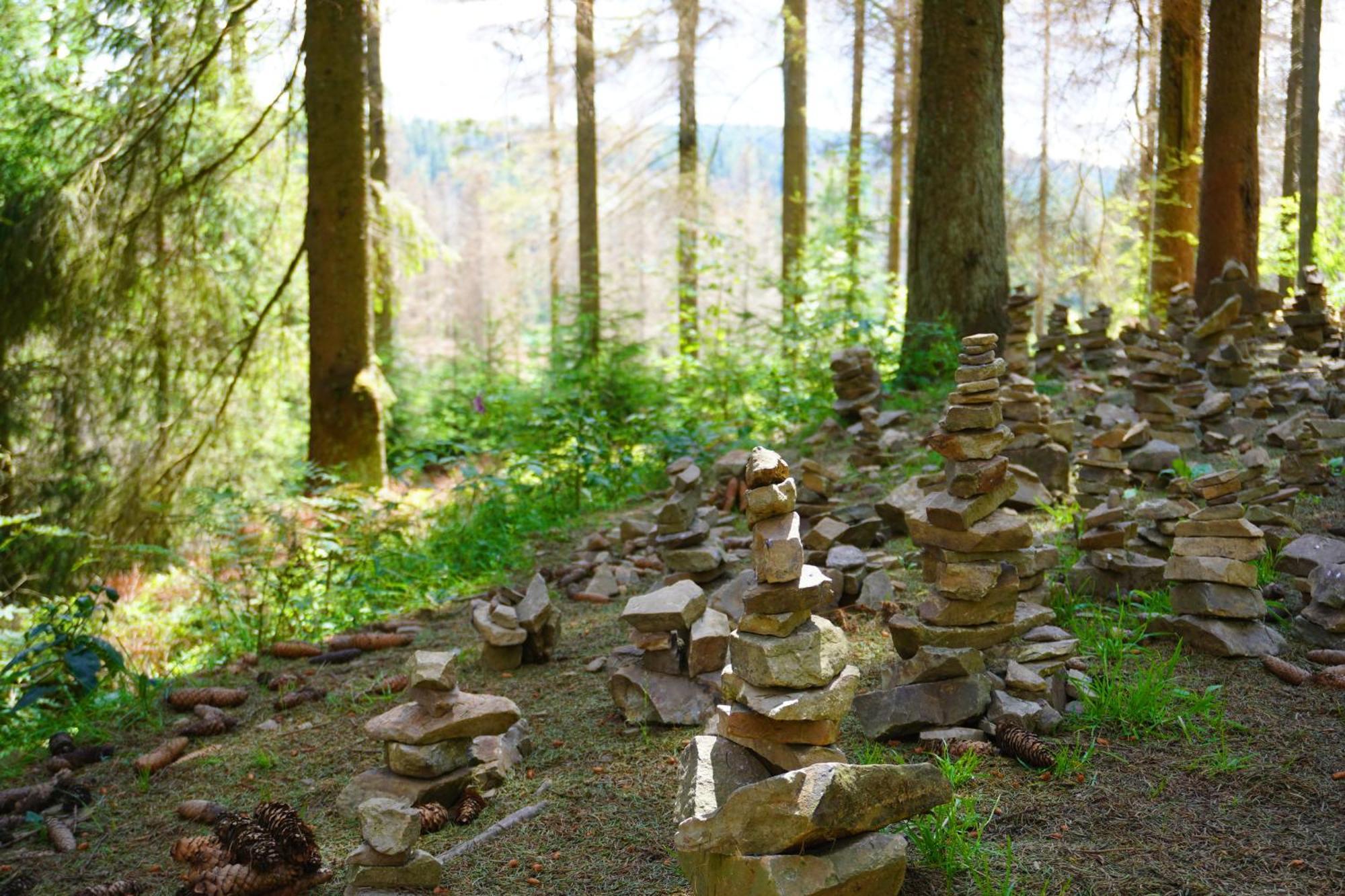Modern & Vintage Bocksbergblick Ferienpark Hahnenklee جوسلار المظهر الخارجي الصورة