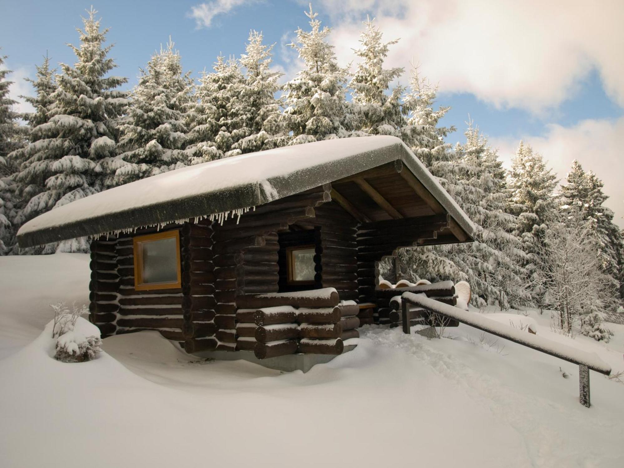 Modern & Vintage Bocksbergblick Ferienpark Hahnenklee جوسلار المظهر الخارجي الصورة